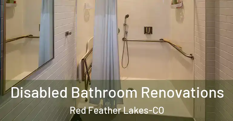 inner Bathroom imggen Disabled Bathroom Renovations Red Feather Lakes-CO