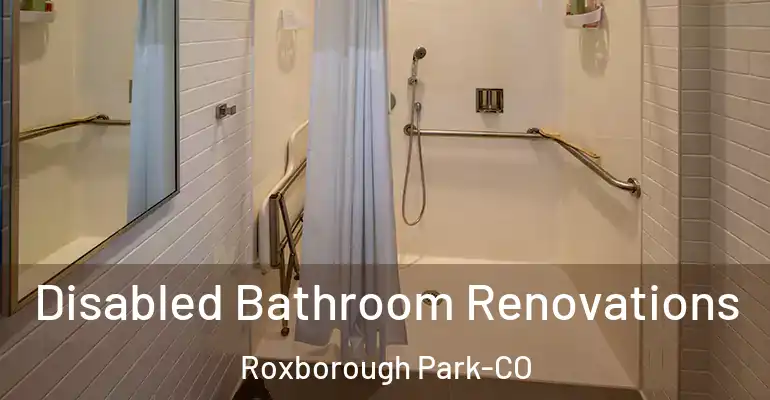 inner Bathroom imggen Disabled Bathroom Renovations Roxborough Park-CO