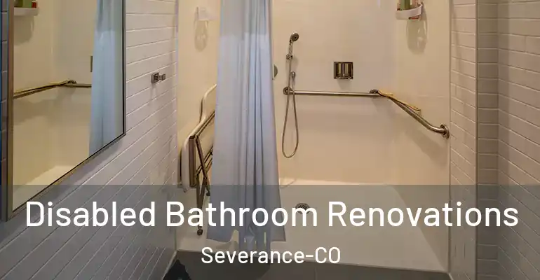 inner Bathroom imggen Disabled Bathroom Renovations Severance-CO