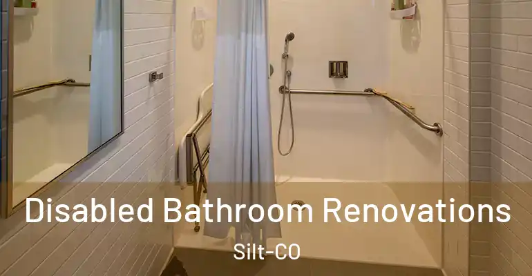 inner Bathroom imggen Disabled Bathroom Renovations Silt-CO