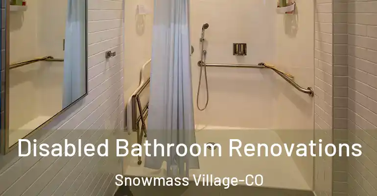 inner Bathroom imggen Disabled Bathroom Renovations Snowmass Village-CO