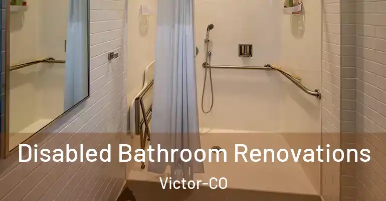 inner Bathroom imggen Disabled Bathroom Renovations Victor-CO