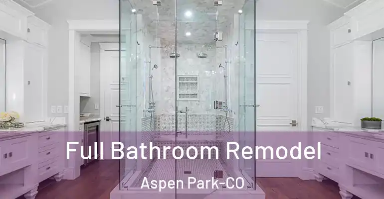 inner Bathroom imggen Full Bathroom Remodel Aspen Park-CO