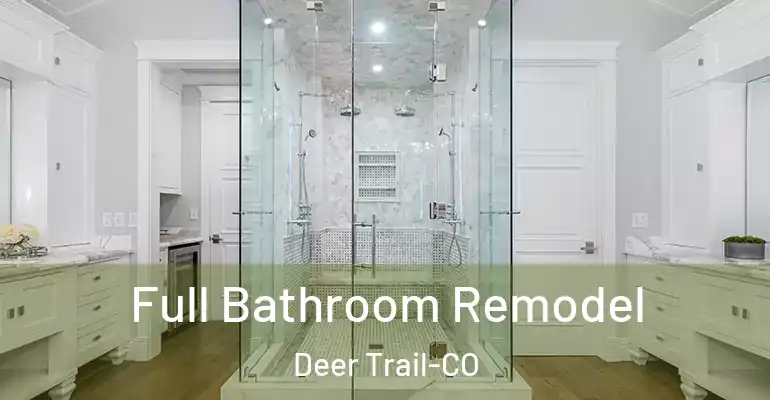 inner Bathroom imggen Full Bathroom Remodel Deer Trail-CO