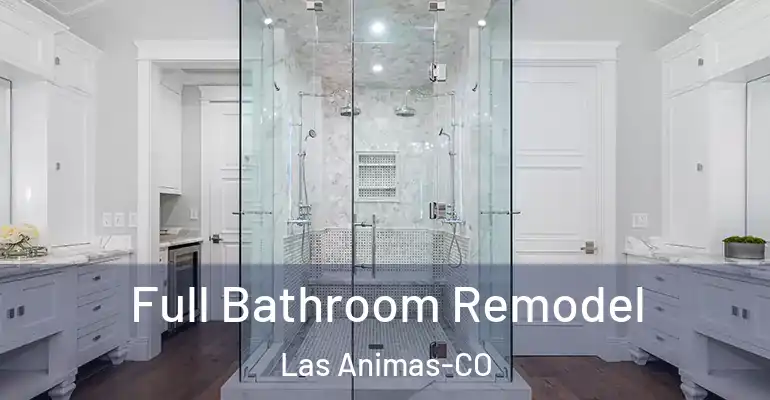 inner Bathroom imggen Full Bathroom Remodel Las Animas-CO
