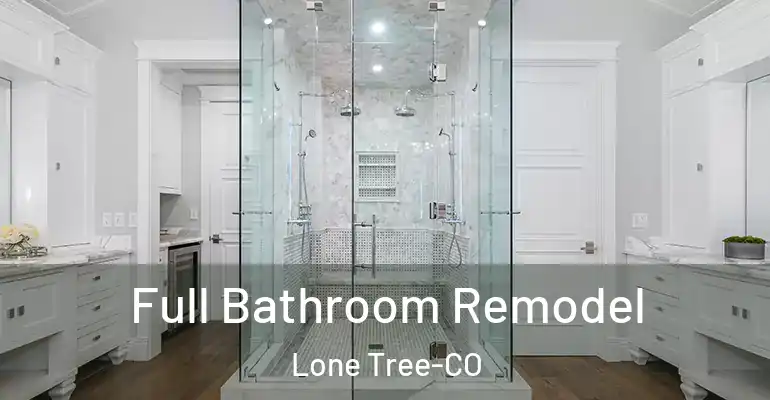 inner Bathroom imggen Full Bathroom Remodel Lone Tree-CO