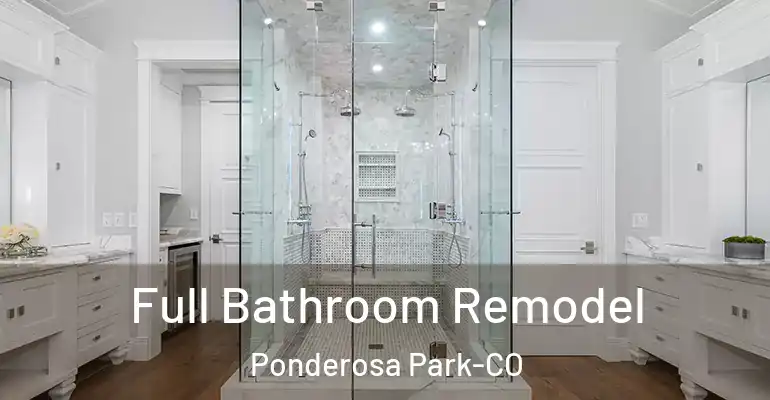 inner Bathroom imggen Full Bathroom Remodel Ponderosa Park-CO