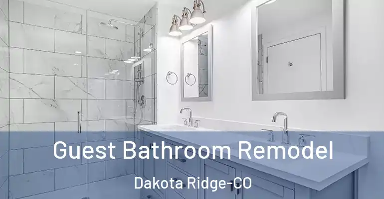 inner Bathroom imggen Guest Bathroom Remodel Dakota Ridge-CO
