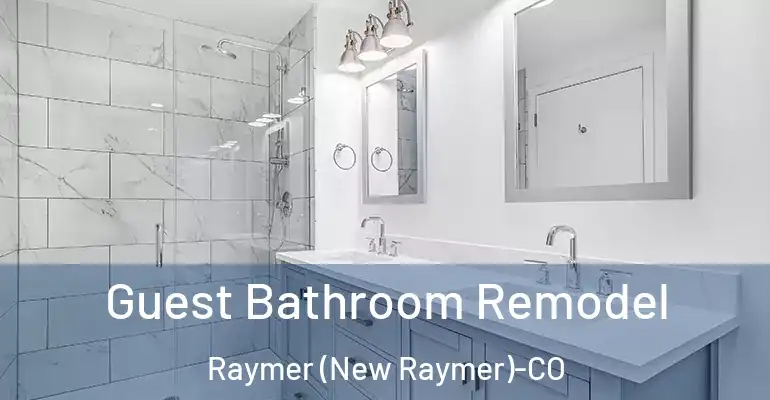 inner Bathroom imggen Guest Bathroom Remodel Raymer (New Raymer)-CO