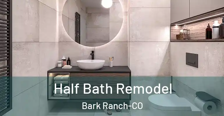 inner Bathroom imggen Half Bath Remodel Bark Ranch-CO