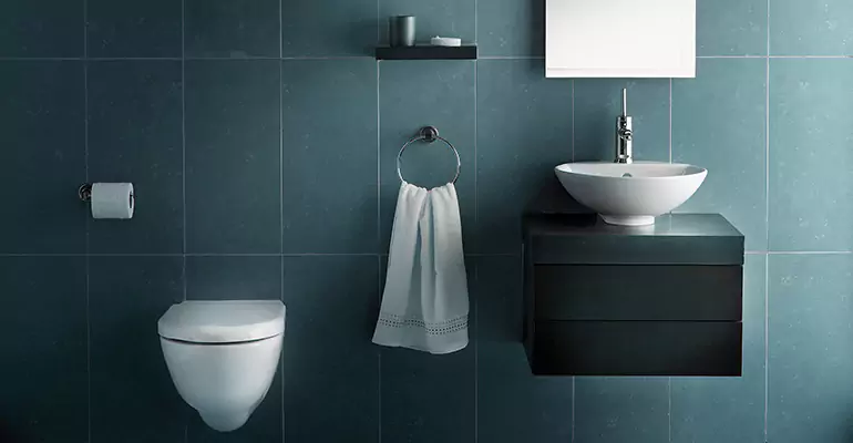 Half Bathroom Renovation in Ponderosa Park