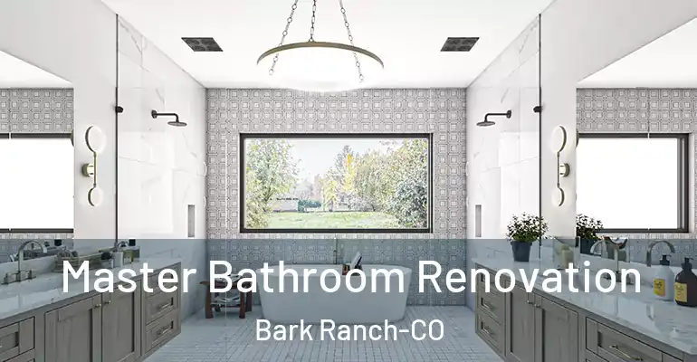 inner Bathroom imggen Master Bathroom Renovation Bark Ranch-CO