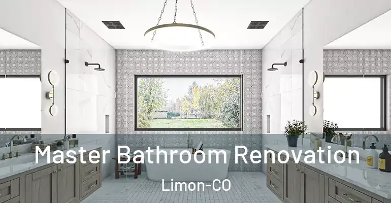 inner Bathroom imggen Master Bathroom Renovation Limon-CO