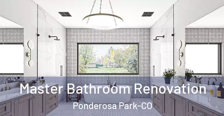 inner Bathroom imggen Master Bathroom Renovation Ponderosa Park-CO