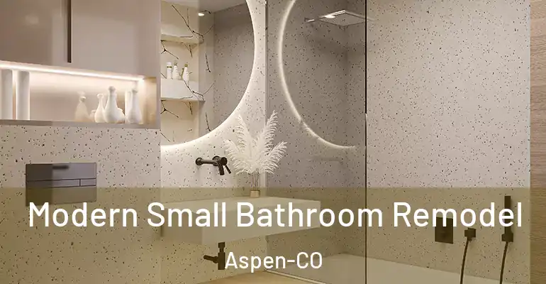 inner Bathroom imggen Modern Small Bathroom Remodel Aspen-CO
