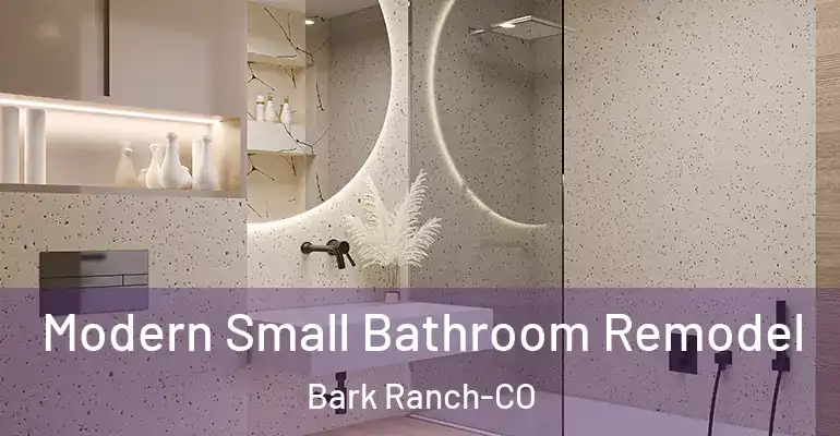 inner Bathroom imggen Modern Small Bathroom Remodel Bark Ranch-CO