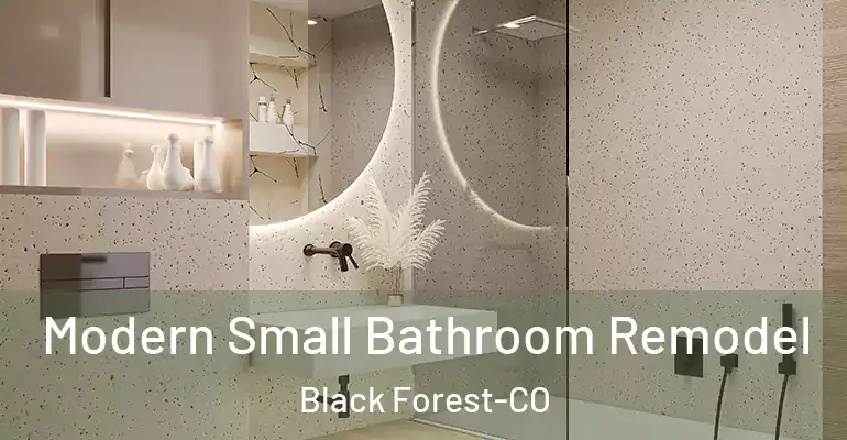inner Bathroom imggen Modern Small Bathroom Remodel Black Forest-CO
