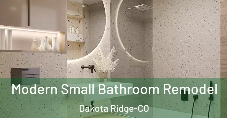 inner Bathroom imggen Modern Small Bathroom Remodel Dakota Ridge-CO