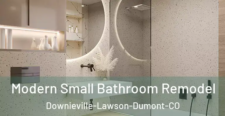 inner Bathroom imggen Modern Small Bathroom Remodel Downieville-Lawson-Dumont-CO