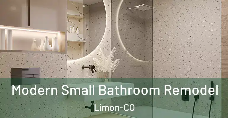 inner Bathroom imggen Modern Small Bathroom Remodel Limon-CO