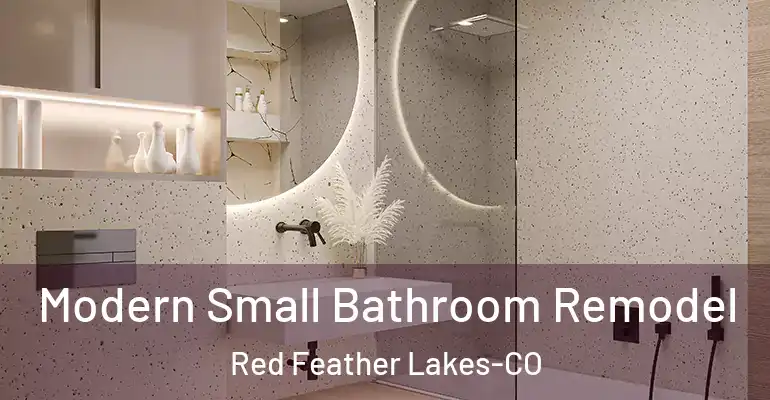 inner Bathroom imggen Modern Small Bathroom Remodel Red Feather Lakes-CO