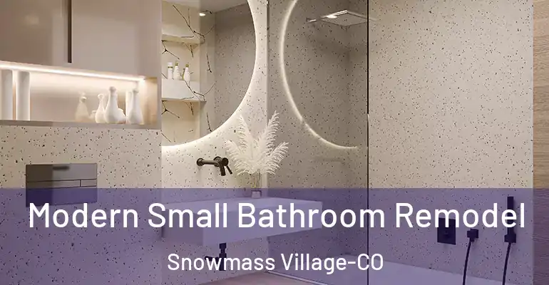 inner Bathroom imggen Modern Small Bathroom Remodel Snowmass Village-CO