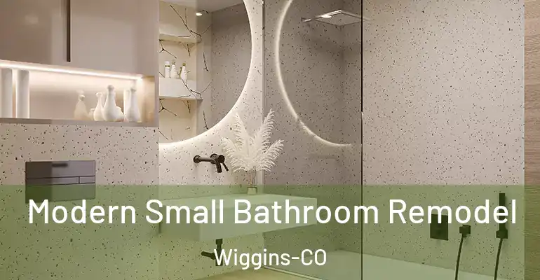 inner Bathroom imggen Modern Small Bathroom Remodel Wiggins-CO
