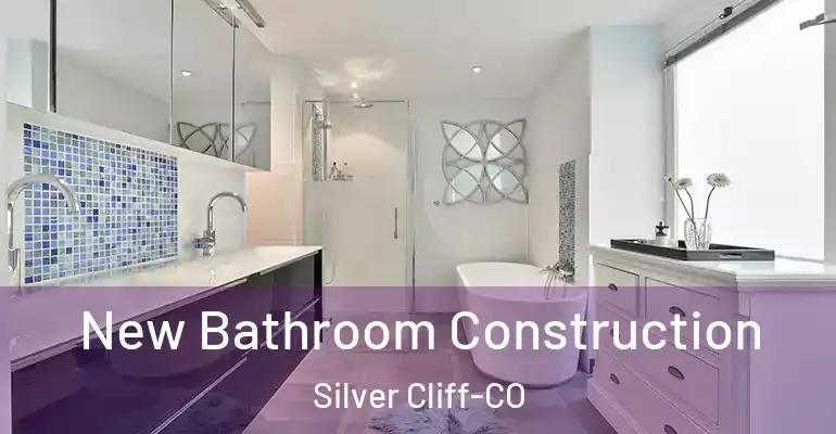 inner Bathroom imggen New Bathroom Construction Silver Cliff-CO