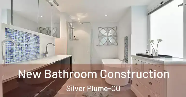 inner Bathroom imggen New Bathroom Construction Silver Plume-CO
