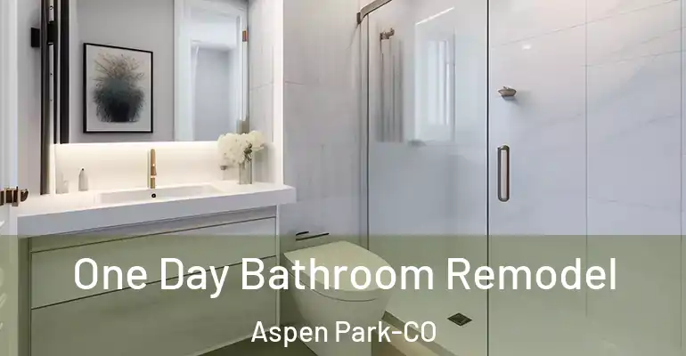 inner Bathroom imggen One Day Bathroom Remodel Aspen Park-CO