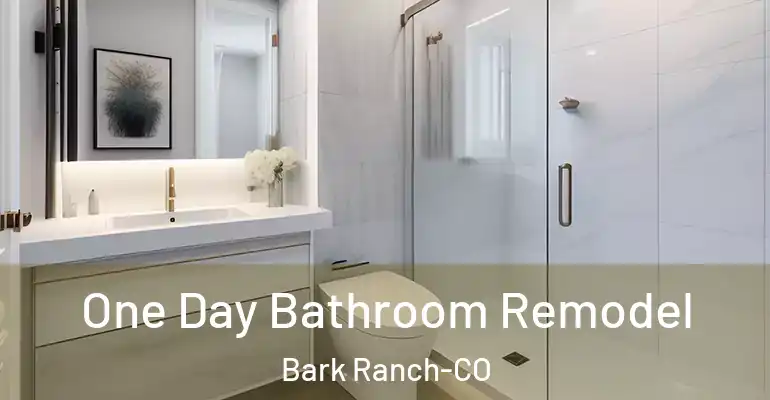inner Bathroom imggen One Day Bathroom Remodel Bark Ranch-CO