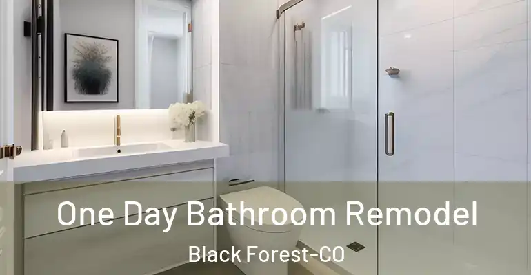 inner Bathroom imggen One Day Bathroom Remodel Black Forest-CO