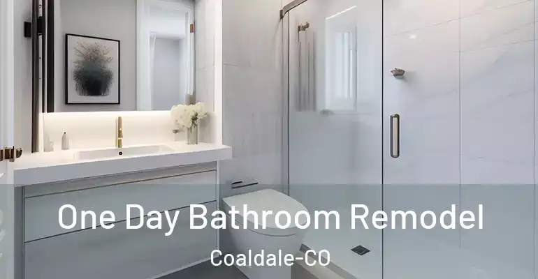 inner Bathroom imggen One Day Bathroom Remodel Coaldale-CO