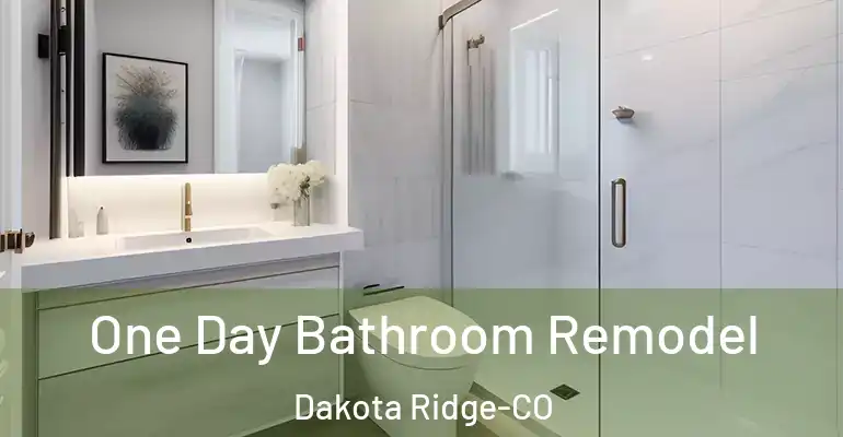 inner Bathroom imggen One Day Bathroom Remodel Dakota Ridge-CO