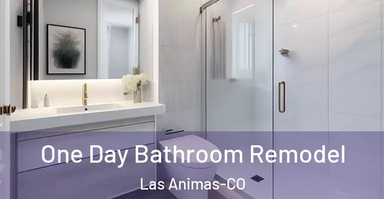 inner Bathroom imggen One Day Bathroom Remodel Las Animas-CO