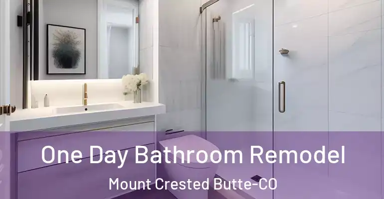 inner Bathroom imggen One Day Bathroom Remodel Mount Crested Butte-CO
