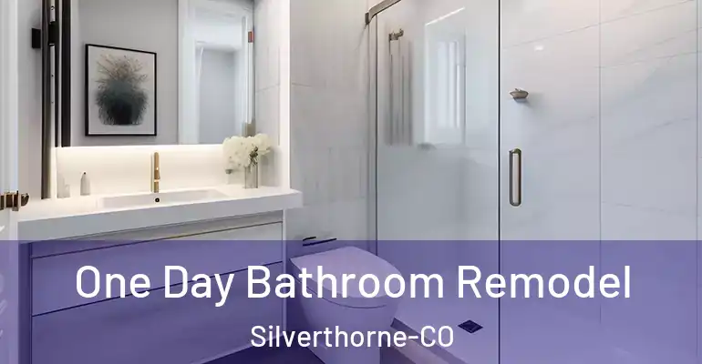 inner Bathroom imggen One Day Bathroom Remodel Silverthorne-CO