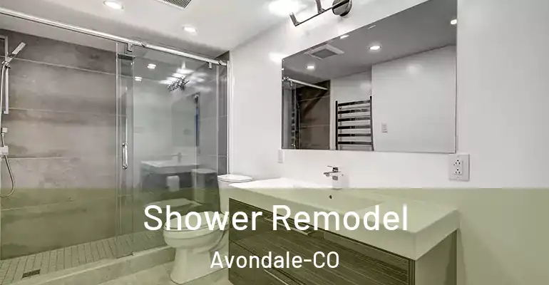 inner Bathroom imggen Shower Remodel Avondale-CO