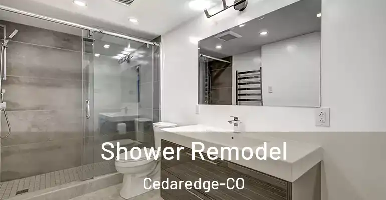 inner Bathroom imggen Shower Remodel Cedaredge-CO