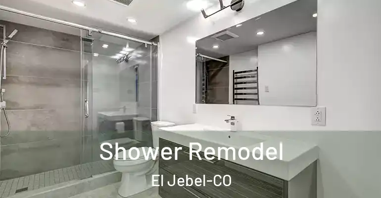 inner Bathroom imggen Shower Remodel El Jebel-CO