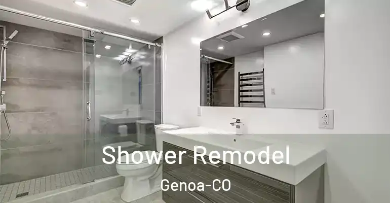 inner Bathroom imggen Shower Remodel Genoa-CO