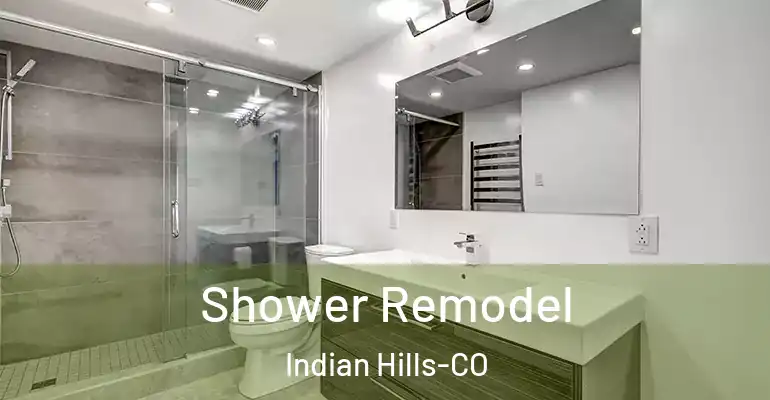 inner Bathroom imggen Shower Remodel Indian Hills-CO