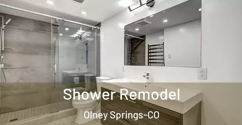 inner Bathroom imggen Shower Remodel Olney Springs-CO