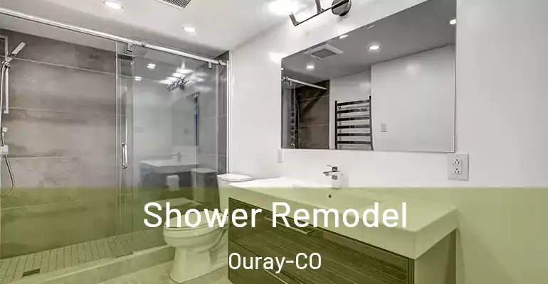 inner Bathroom imggen Shower Remodel Ouray-CO