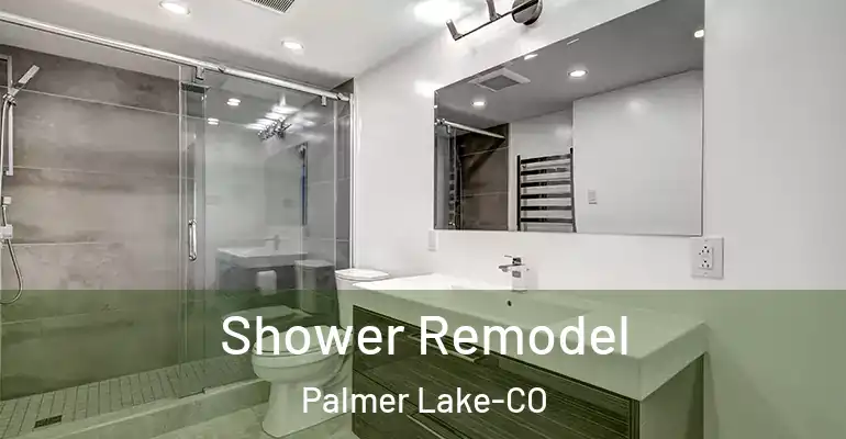 inner Bathroom imggen Shower Remodel Palmer Lake-CO