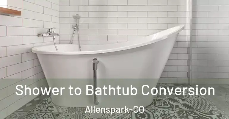 inner Bathroom imggen Shower to Bathtub Conversion Allenspark-CO