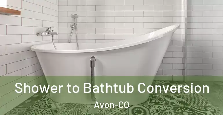 inner Bathroom imggen Shower to Bathtub Conversion Avon-CO