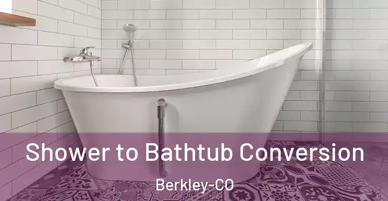 inner Bathroom imggen Shower to Bathtub Conversion Berkley-CO