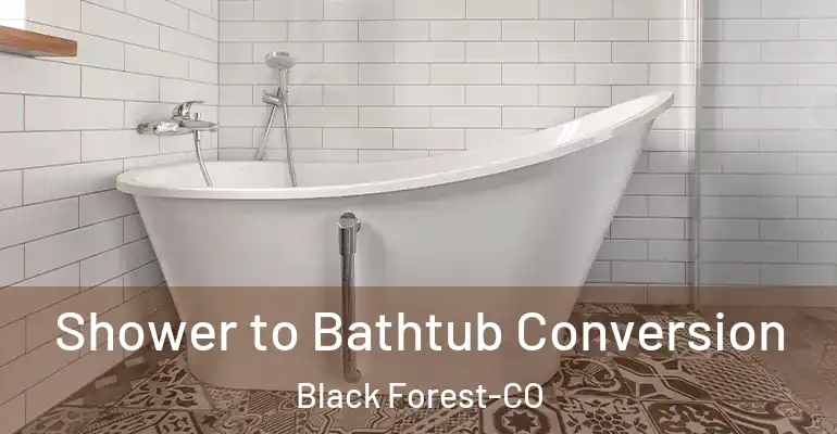 inner Bathroom imggen Shower to Bathtub Conversion Black Forest-CO