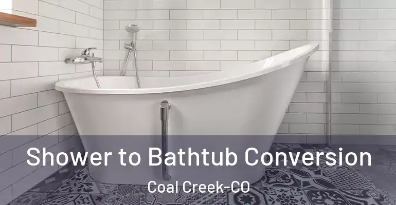 inner Bathroom imggen Shower to Bathtub Conversion Coal Creek-CO